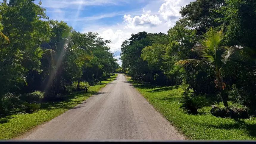 Insel Cozumel, Mexiko - Dichter Dschungel