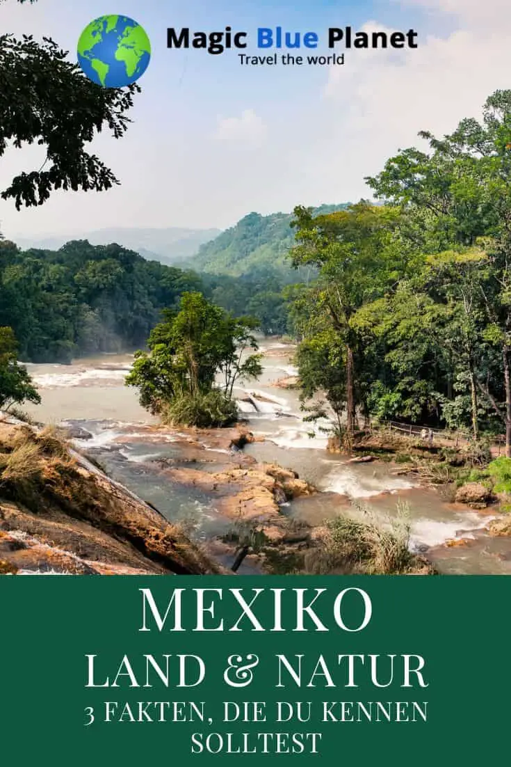 Natur in Mexiko Pinterest 1 DE