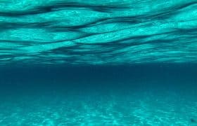 Cozumel, Mexico - Underwater World