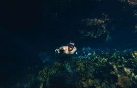 Tulum, Mexico - Diving in a Cenote