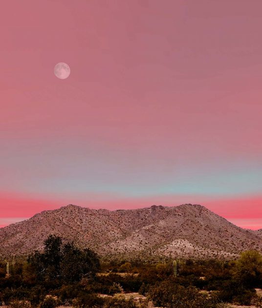 Mexico Naturaleza: Luna encima del desierto de Sonora