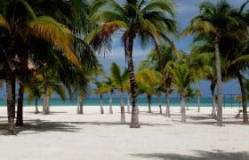 Playas en Cozumel: Isla de la Pasion
