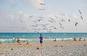 Playa del Carmen Quintana Roo - Playa en el día