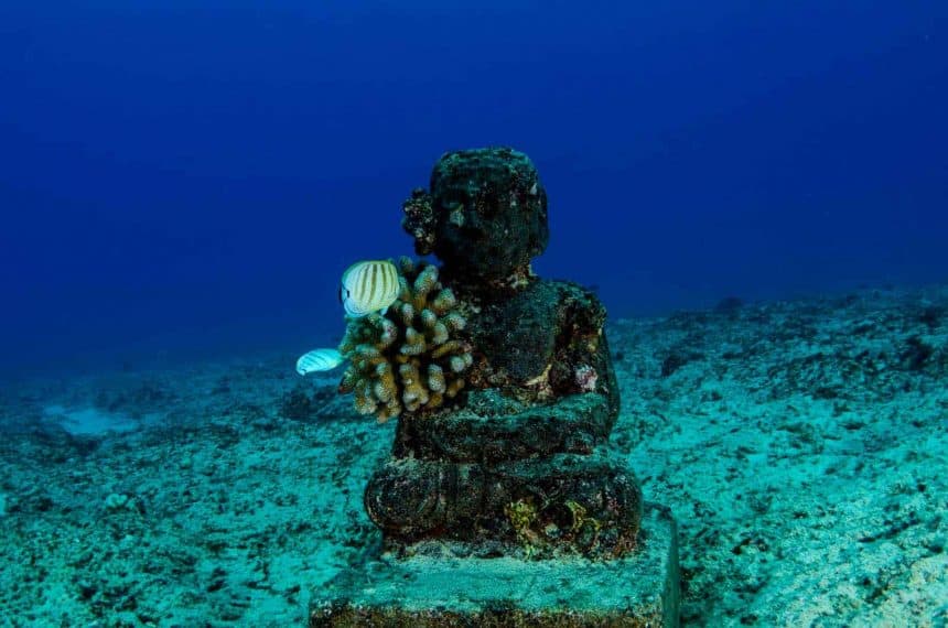 Ausflüge in Cancun Mexiko: Underwasser Museum