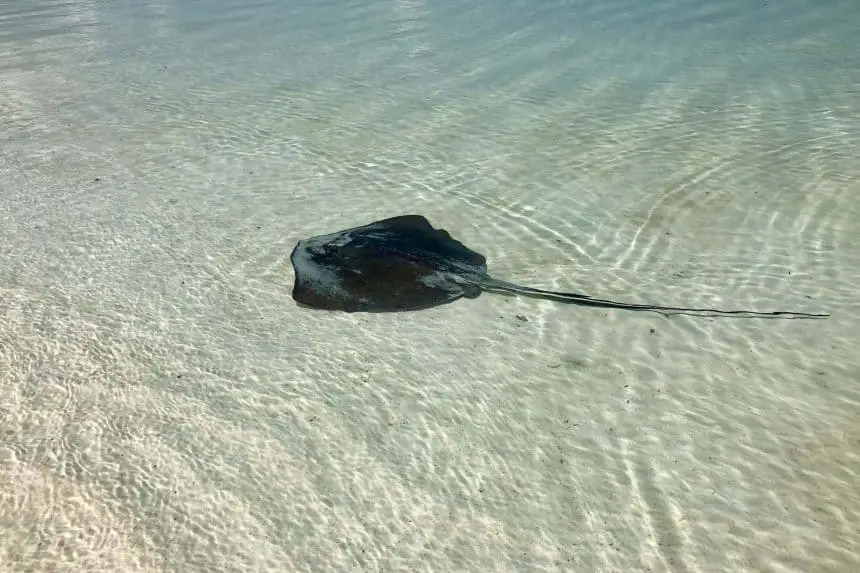 Que hacer en Akumal, México - Descubre la laguna Yal-Ku