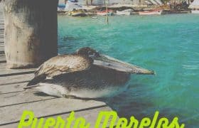 Puerto Morelos What To Do Pinterest 3 ES