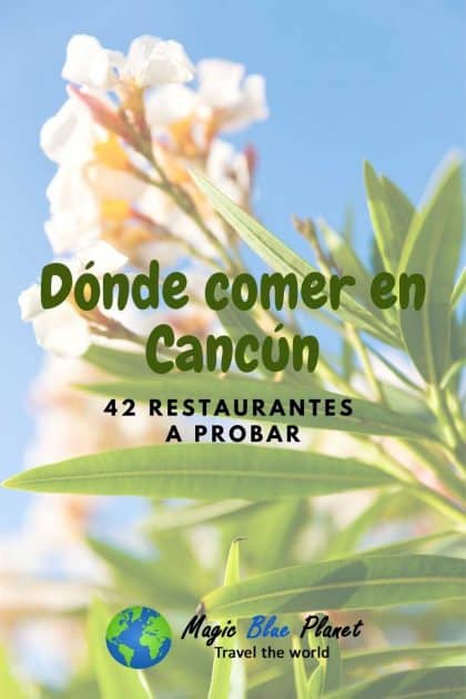 42 Restaurantes en Cancún en dónde comer rico 2 Restaurants in Cancun Pinterest 1 ES