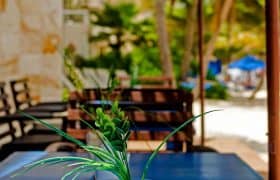The 30 best Restaurants in Playa del Carmen