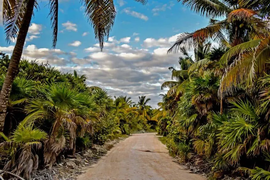 Road to Punta Allen in Sian Kaan, Mexico