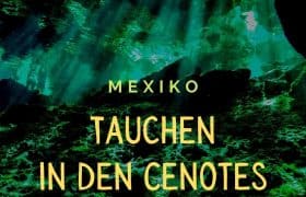 Cenotes Diving DE Pinterest 1