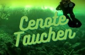Cenotes Diving DE Pinterest 3