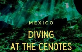 Cenotes Diving EN Pinterest 1