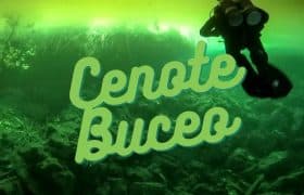 Cenotes Diving ES Pinterest 3