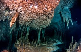 Scuba Diving Cenote Dreamgate, Yucatan Peninsula, Mexico