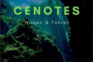 Cenotes About Pinterest 1 DE