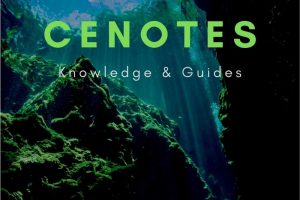 Cenotes About Pinterest 1 EN