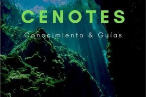 Cenotes About Pinterest 1 ES