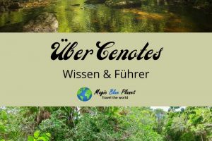 Cenotes About Pinterest 2 DE