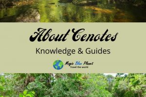 Cenotes About Pinterest 2 EN