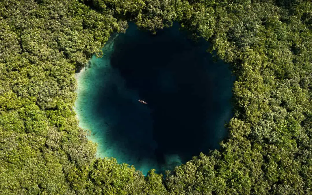 About Cenotes - Facts and Guides