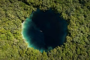 Acerca de Cenotes - Hechos y Guías
