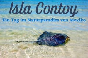 Isla Contoy Pinterest 3 DE