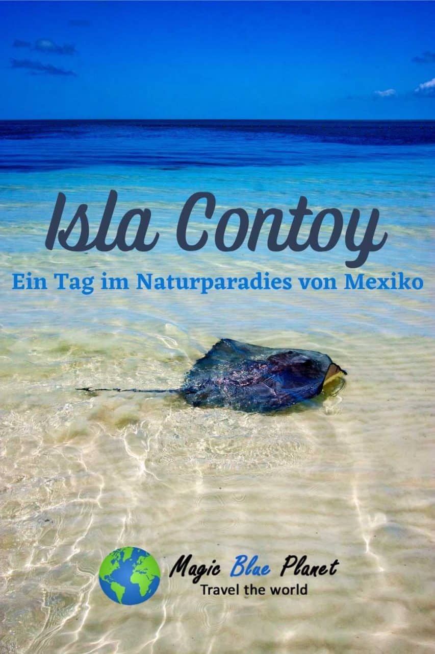 Isla Contoy Pinterest 3 DE