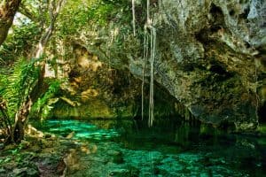 Tipos de Cenotes - Cenote abierto (Gran Cenote en Tulum)