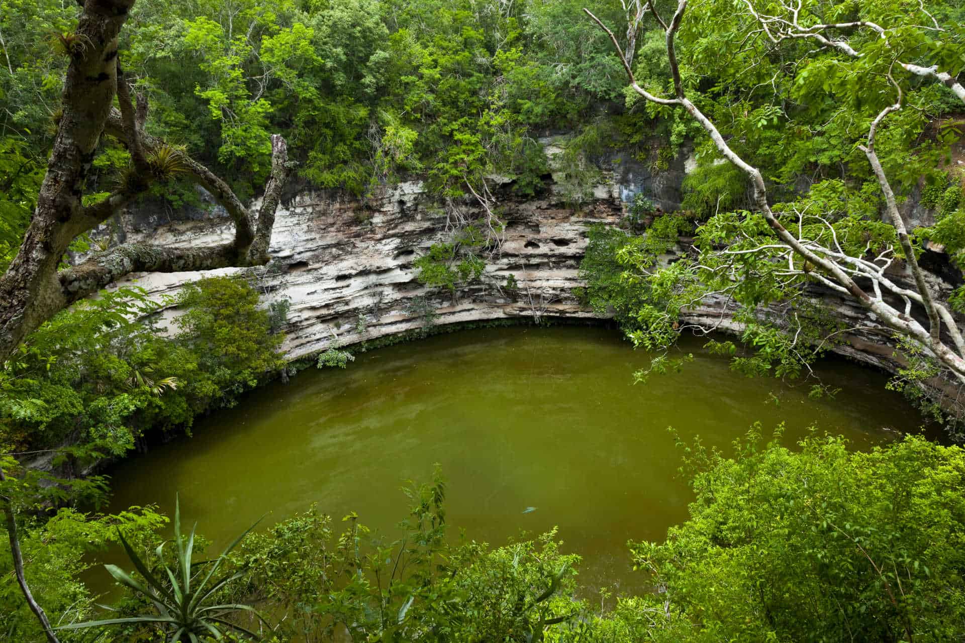 Chichen Itza, Mexiko - Der Cenote Sagrado (Heiliger Brunnen) bei den Maya Ruinen
