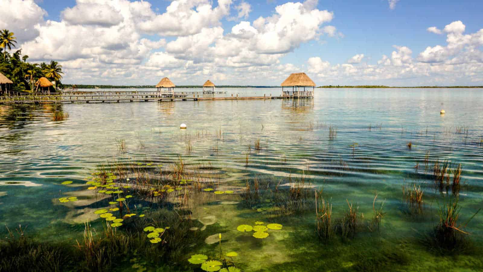Swimming in the lagoon of Bacalar