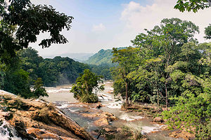 Nature in Mexico: Agua Azul Waterfalls in Chiapas