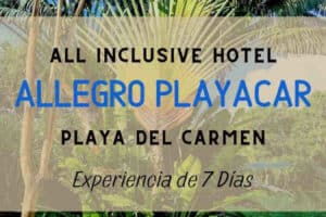 2_Pinterest_Allegro_Playacar_ES