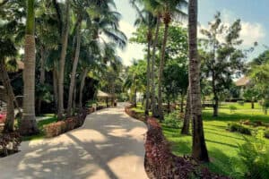 Garden at Allegro Playacar