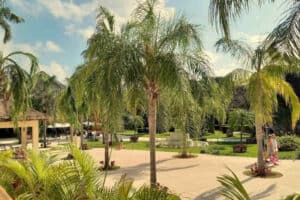 Garden at Allegro Playacar - Entrance