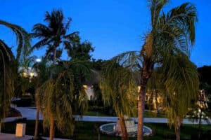 Nightlife at Allegro Playacar