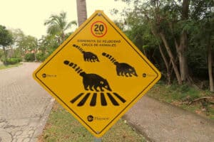 Playacar Hotel Zone - Wildlife Protection