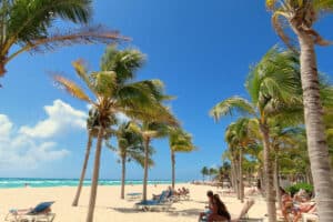 Beach Allegro Playacar - Shadow of Coconut Palms
