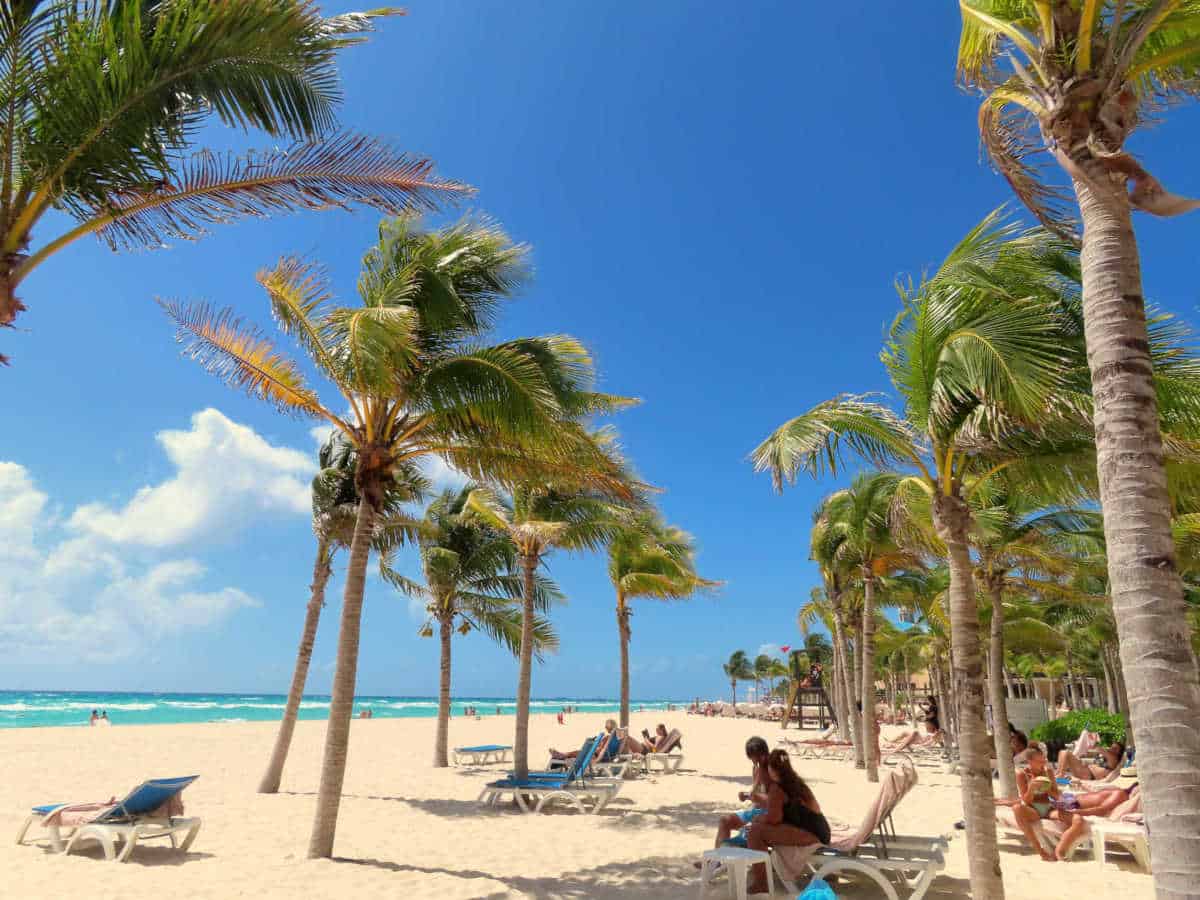 Beach Allegro Playacar - Shadow of Coconut Palms