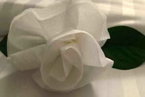 Rooms Allegro Playacar