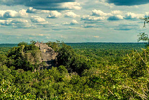 Mayan Ruins of Calakmul