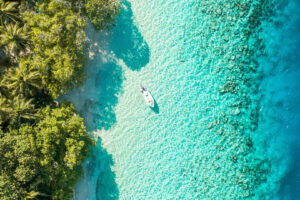 Magic Blue Planet - News & Guides