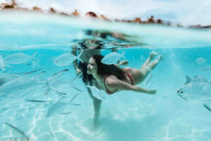 Snorkeling in Cozumel