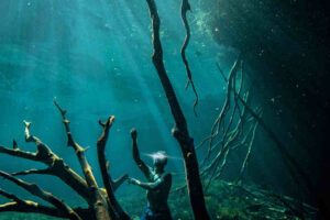 What to do in Tulum - Freediving in a Cenote