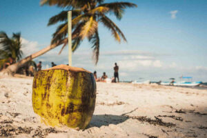 Coconut on the beach at Playa Paraiso, Tulum