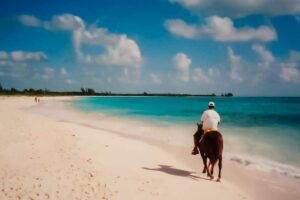 Activities in Playa del Carmen - Horseback Riding at the Beach years ago