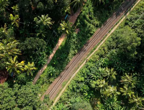 El Tren Maya: 1500 km de ferrocarril a mundos secretos