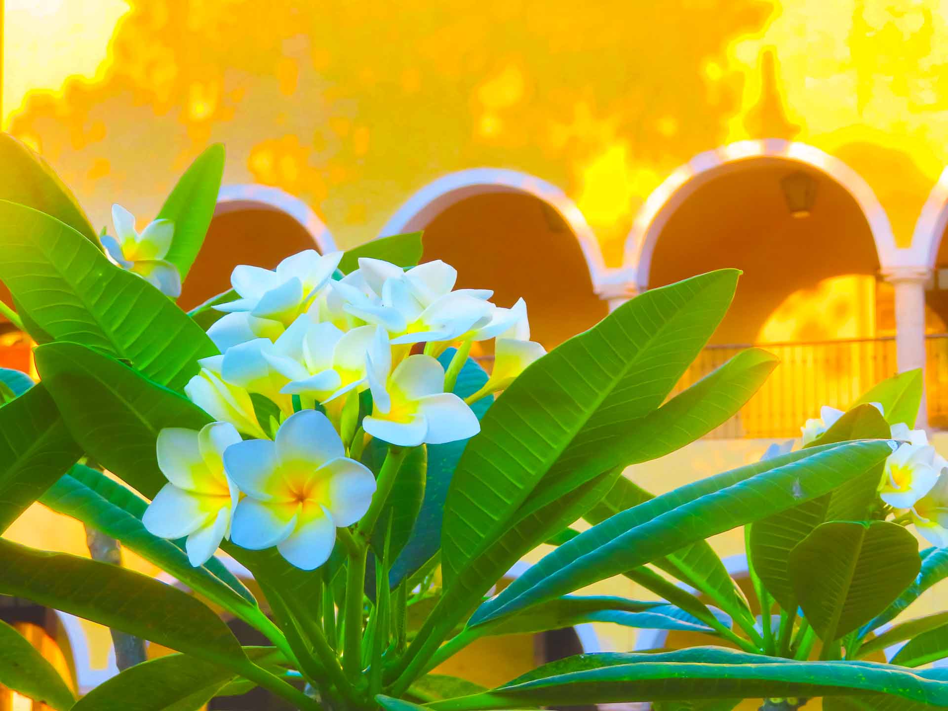 Travel Experiences Magic Blue Planet