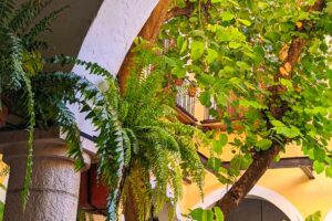 It is worth staying at Hotel Mesón del Marqués.