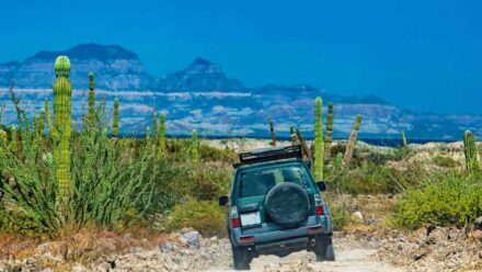 Mexico Domestic Travel