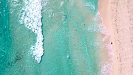 Strand auf der Insel Cozumel in Mexiko Mexiko Cozumel Strand